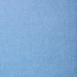 Schumacher 70570 Rocky Performance Velvet Hydrangea fabric swatch