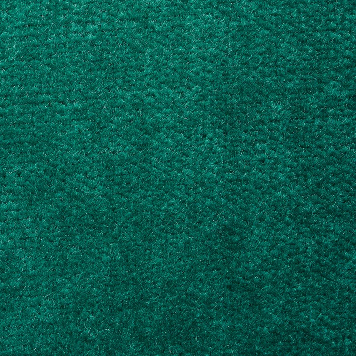 Schumacher 70573 Rocky Performance Velvet Ivy fabric swatch