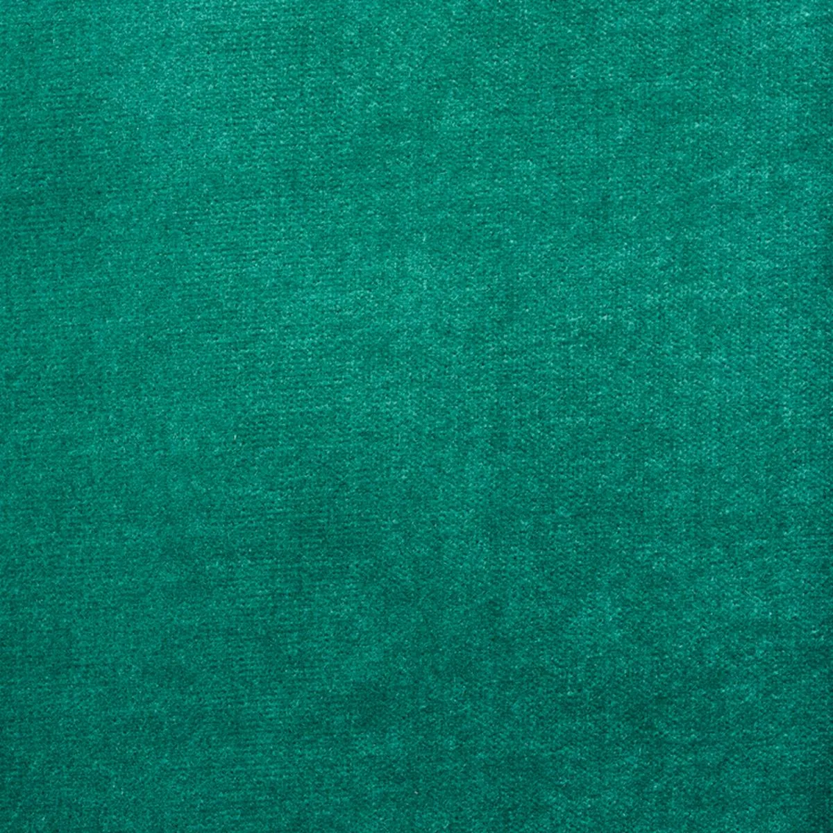 Schumacher 70573 Rocky Performance Velvet Ivy fabric swatch
