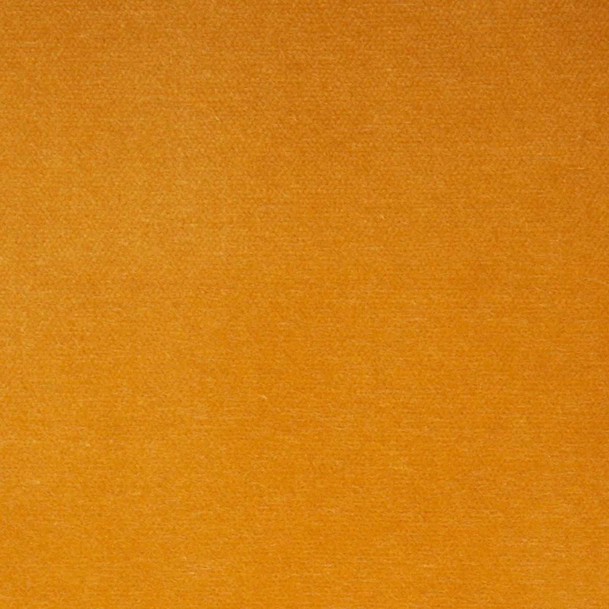 Schumacher 70579 Rocky Performance Velvet Marigold fabric swatch