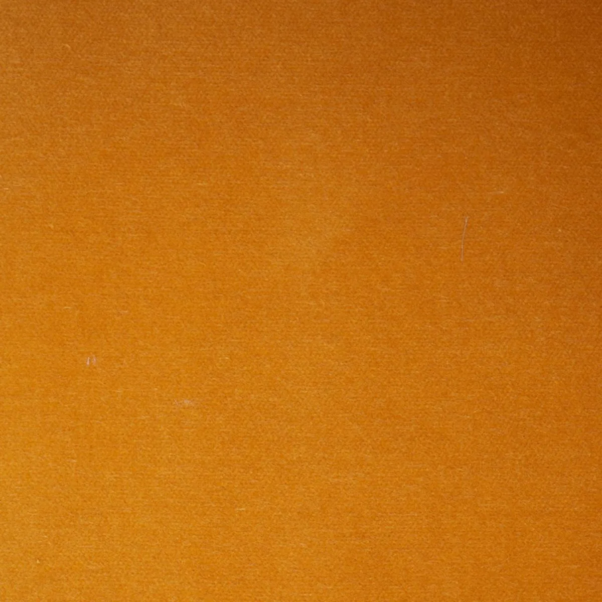 Schumacher 70579 Rocky Performance Velvet Marigold fabric swatch