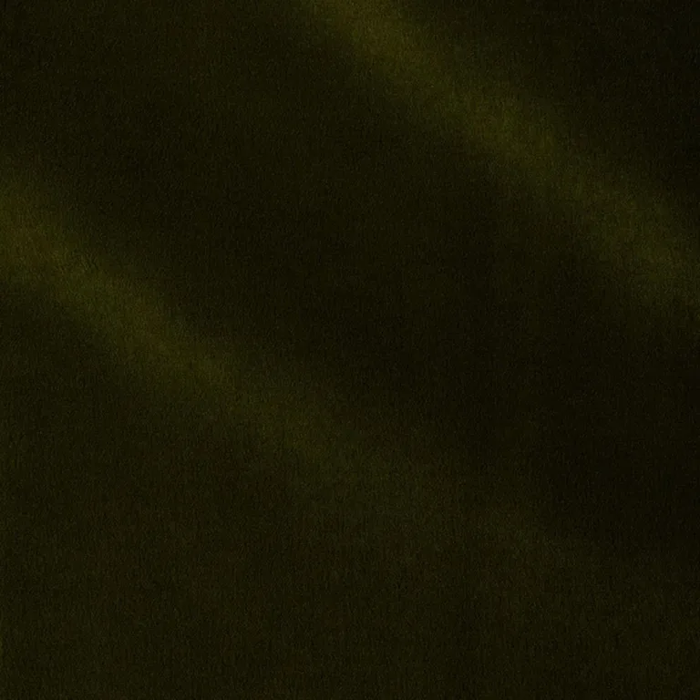 Schumacher 70492 Rocky Performance Velvet Moss fabric swatch
