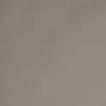 Schumacher 70577 Rocky Performance Velvet Oyster fabric swatch