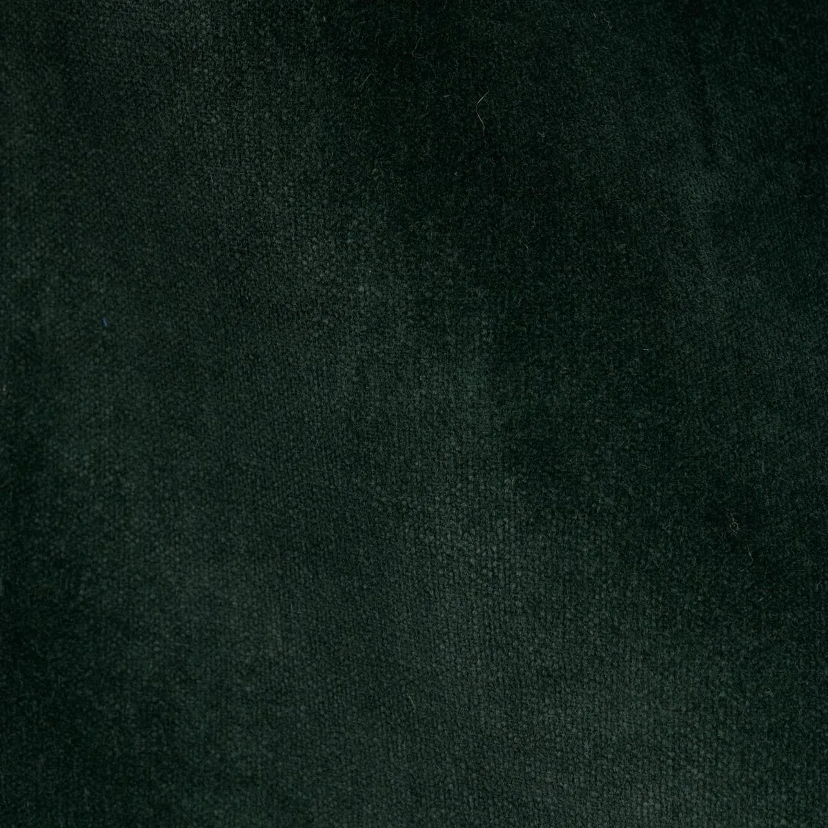 Schumacher 70489 Rocky Performance Velvet Pine fabric swatch