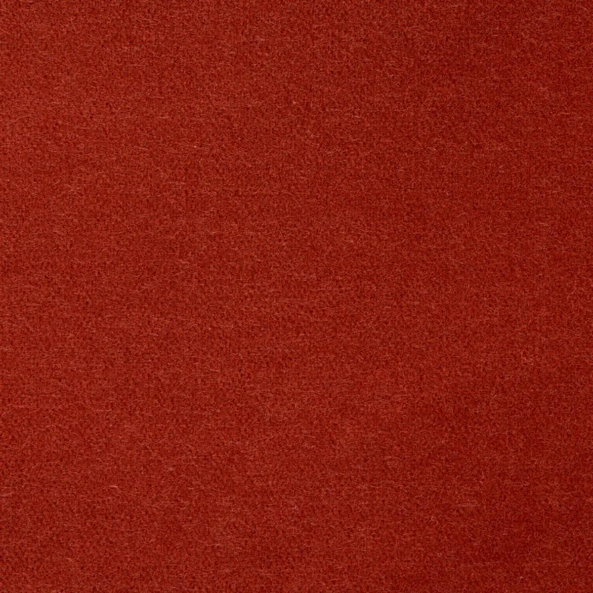 Schumacher 76602 Rocky Performance Velvet Spice fabric swatch
