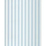 Schumacher 85744 Roosevelt Awning Stripe Robin's Egg fabric swatch