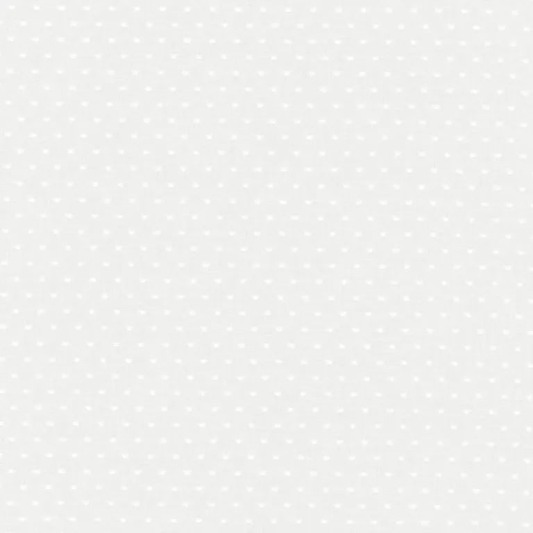 Schumacher 55990 Rosabel Dot Sheer White fabric swatch