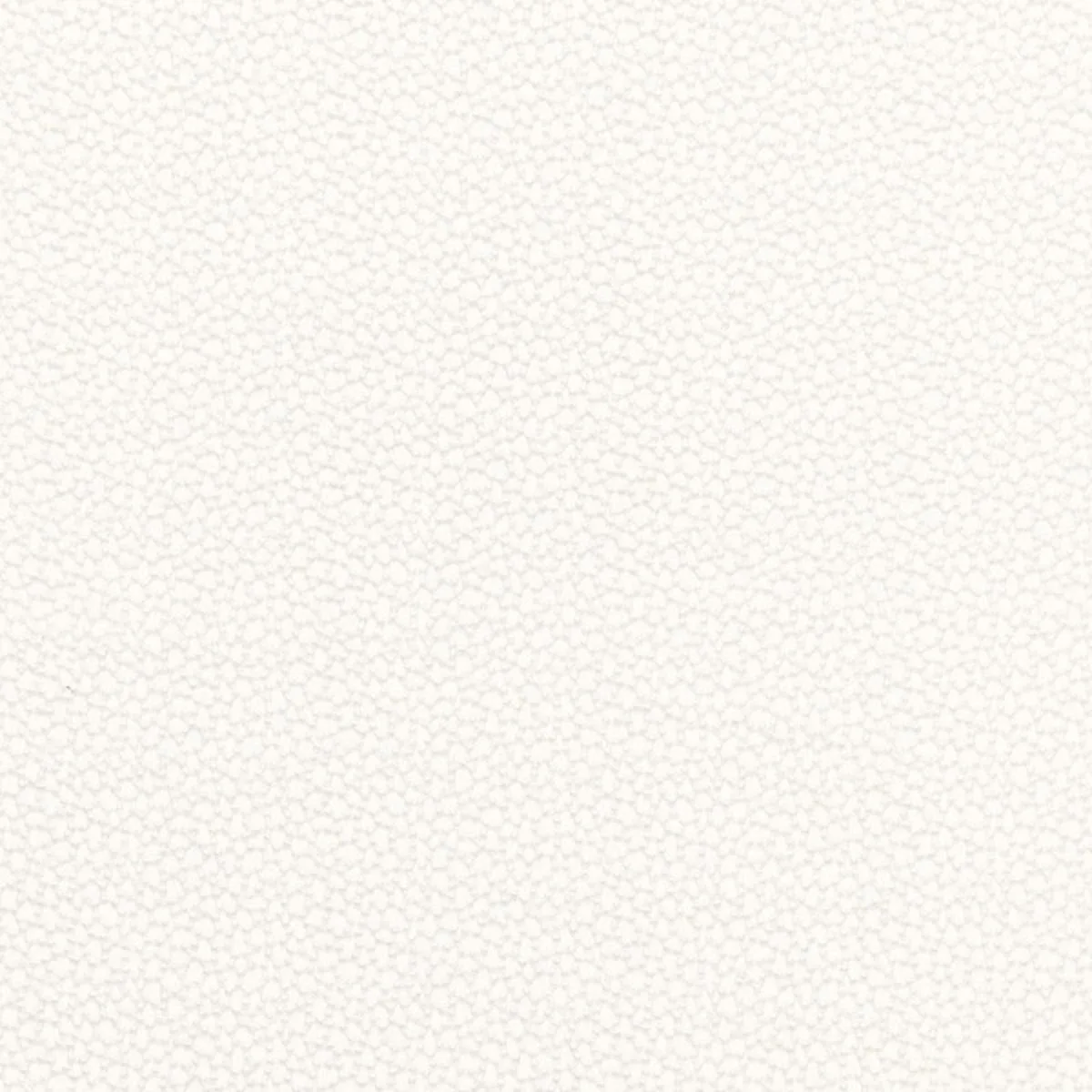 Schumacher 67660 Rossini Sheer Ivory fabric swatch
