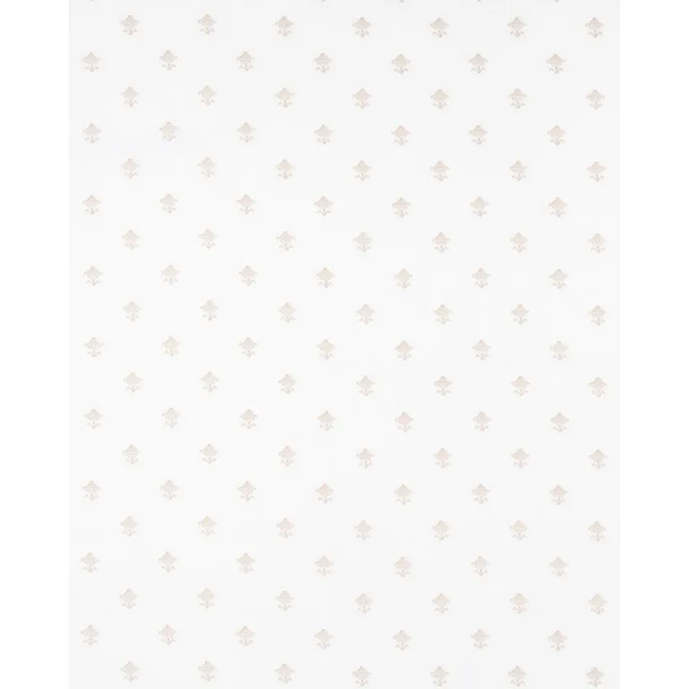 Schumacher 82550 Rubia Sheer Ivory fabric swatch