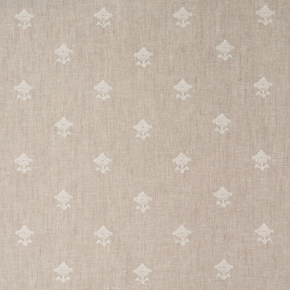 Schumacher 82552 Rubia Sheer Natural fabric swatch