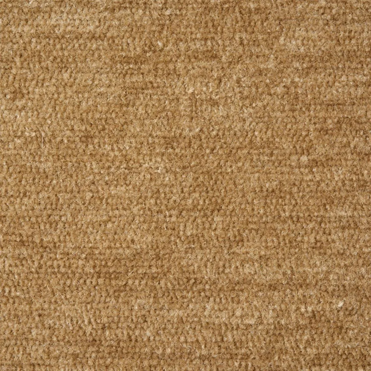 Schumacher 77162 Ryder Performance Chenille Doe fabric swatch