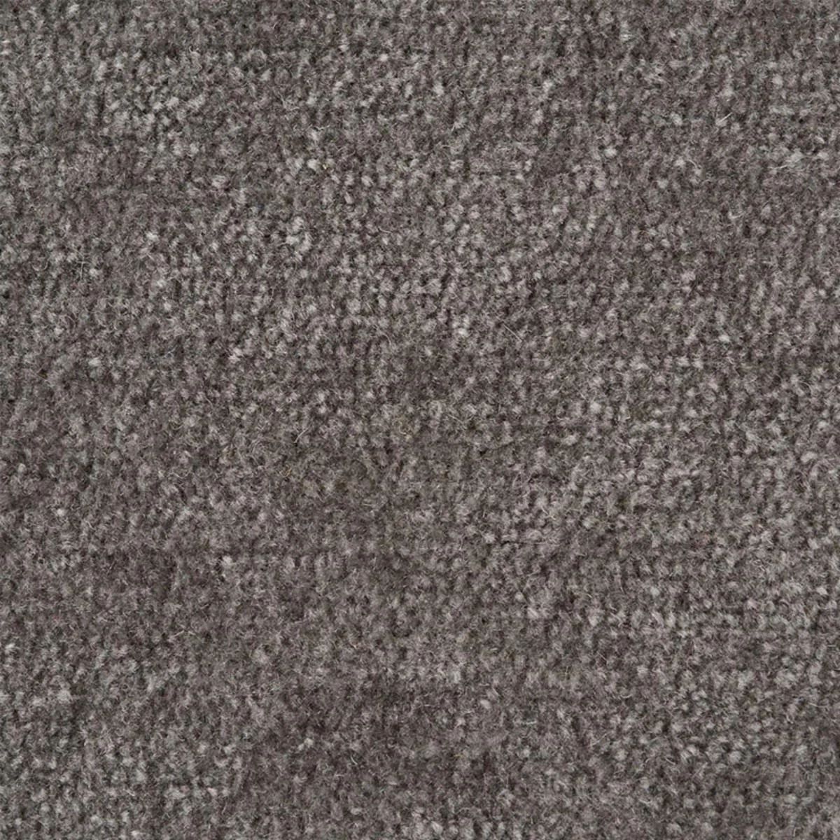 Schumacher 77164 Ryder Performance Chenille Grey fabric swatch