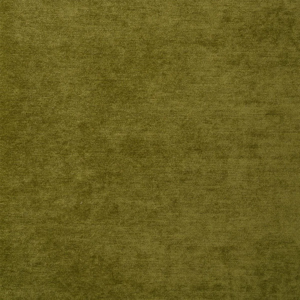 Schumacher 77165 Ryder Performance Chenille Moss fabric swatch