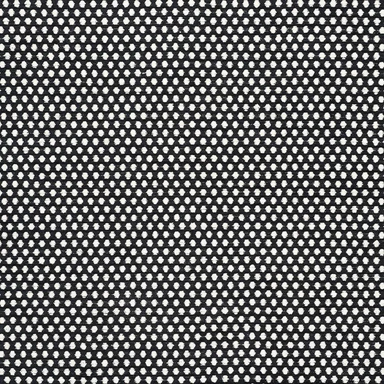 Schumacher 54601 Sabina Ivory & Black fabric swatch