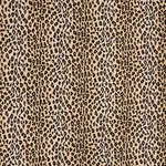 Schumacher 43181 Safari éPinglé Leopard fabric swatch