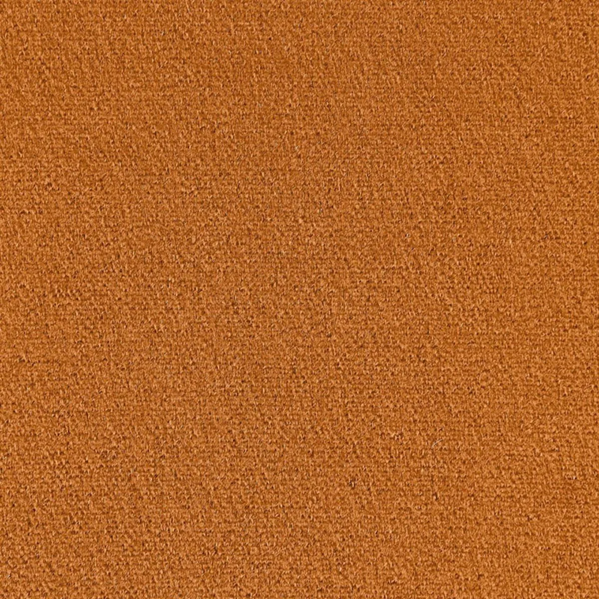 64853 San Carlo Mohair Velvet Dijon Fabric