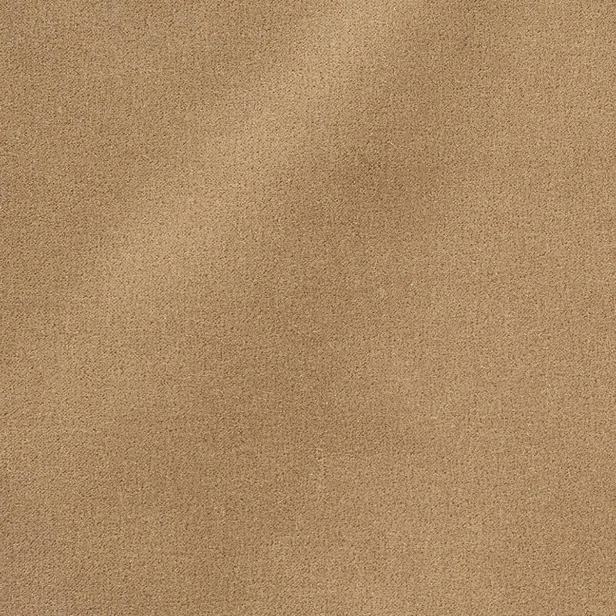 64898 San Carlo Mohair Velvet Doe Fabric
