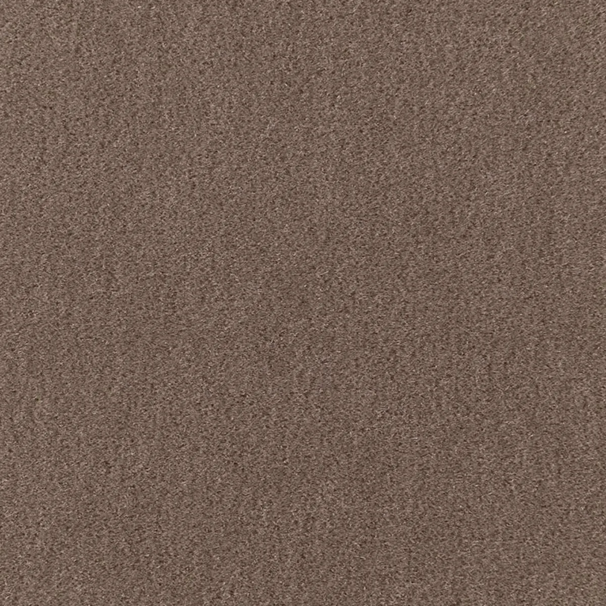 64868 San Carlo Mohair Velvet Driftwood Fabric