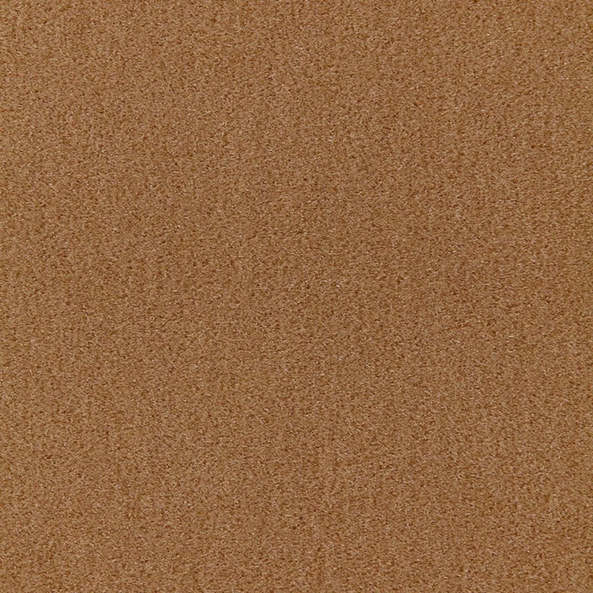 64851 San Carlo Mohair Velvet Fawn Fabric