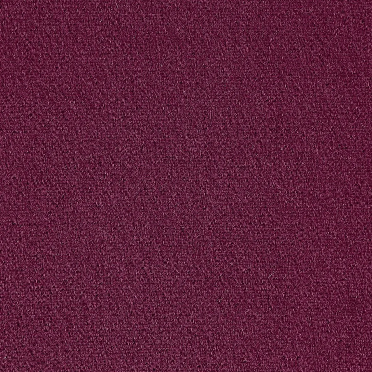 64862 San Carlo Mohair Velvet Grape Fabric