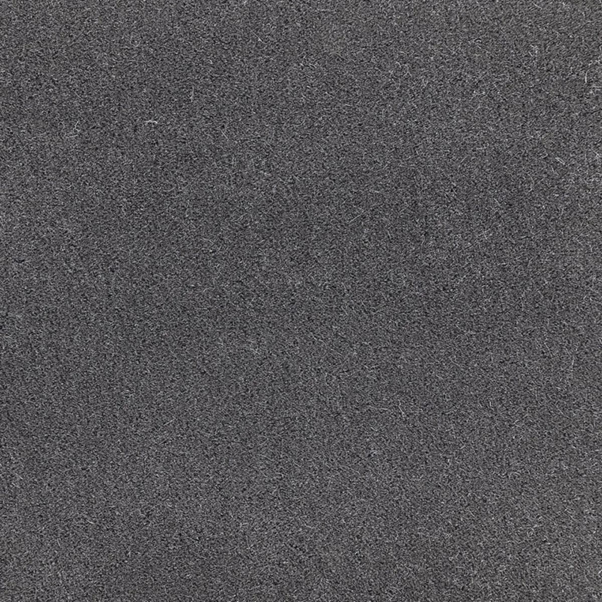 64869 San Carlo Mohair Velvet Grisaille Fabric