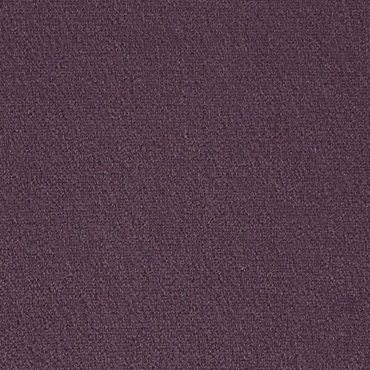 64861 San Carlo Mohair Velvet Heather Fabric