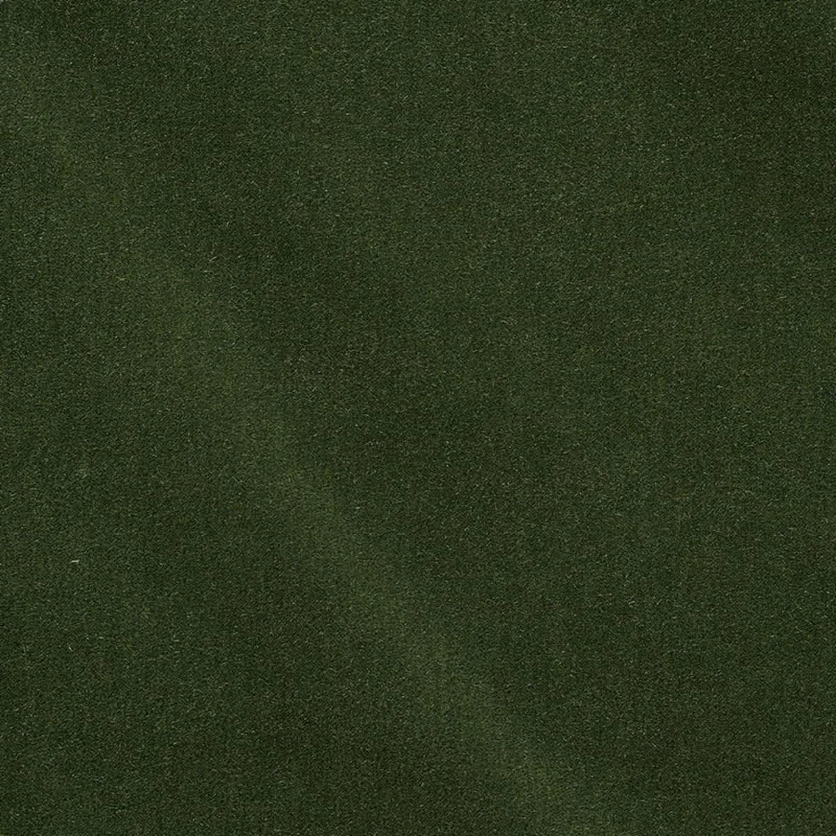 74501 San Carlo Mohair Velvet Hedge Fabric