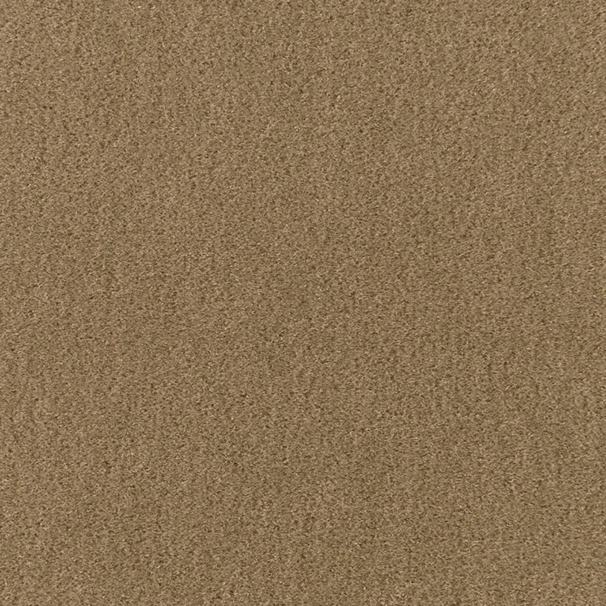 64895 San Carlo Mohair Velvet Herb Fabric