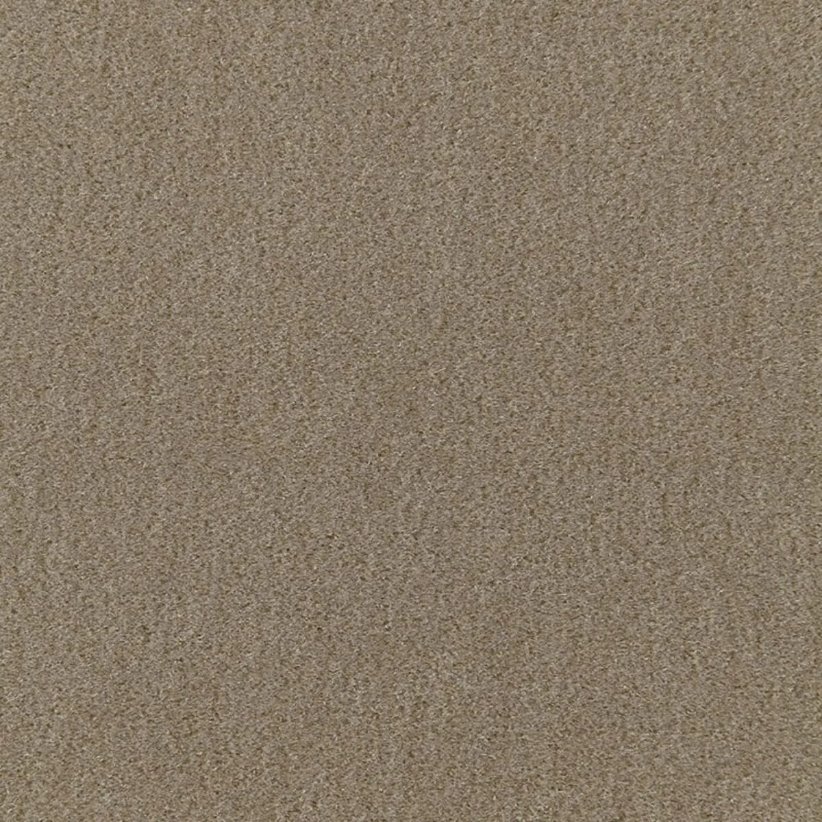 64886 San Carlo Mohair Velvet Khaki Fabric