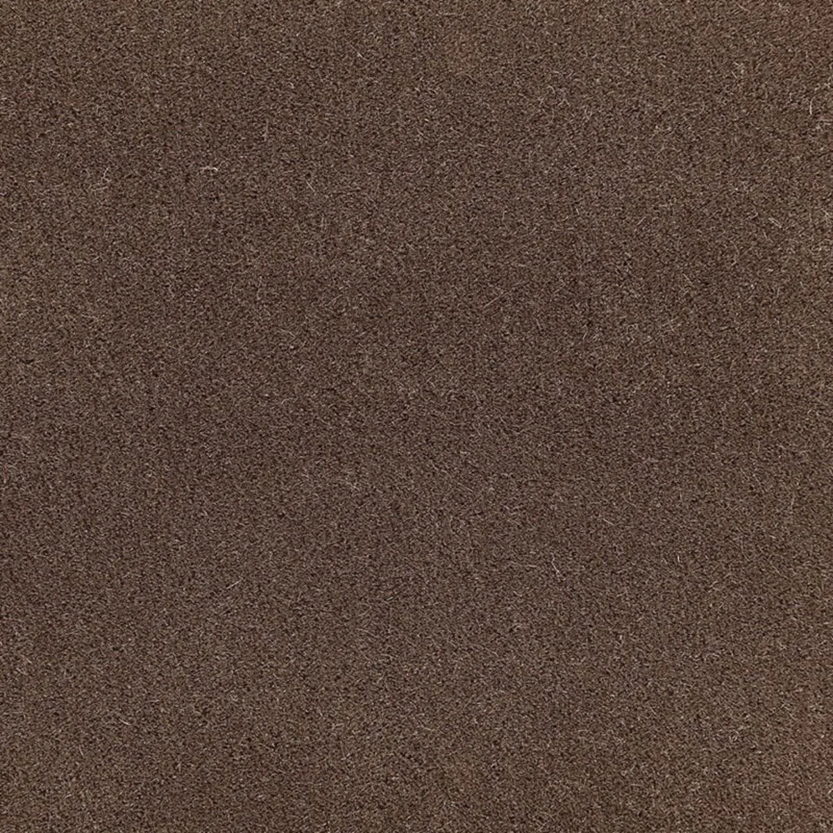 64889 San Carlo Mohair Velvet Mink Fabric