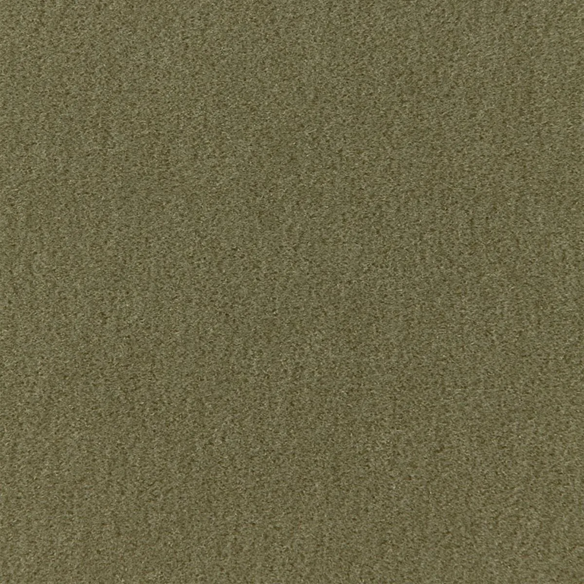 64894 San Carlo Mohair Velvet Moss Fabric