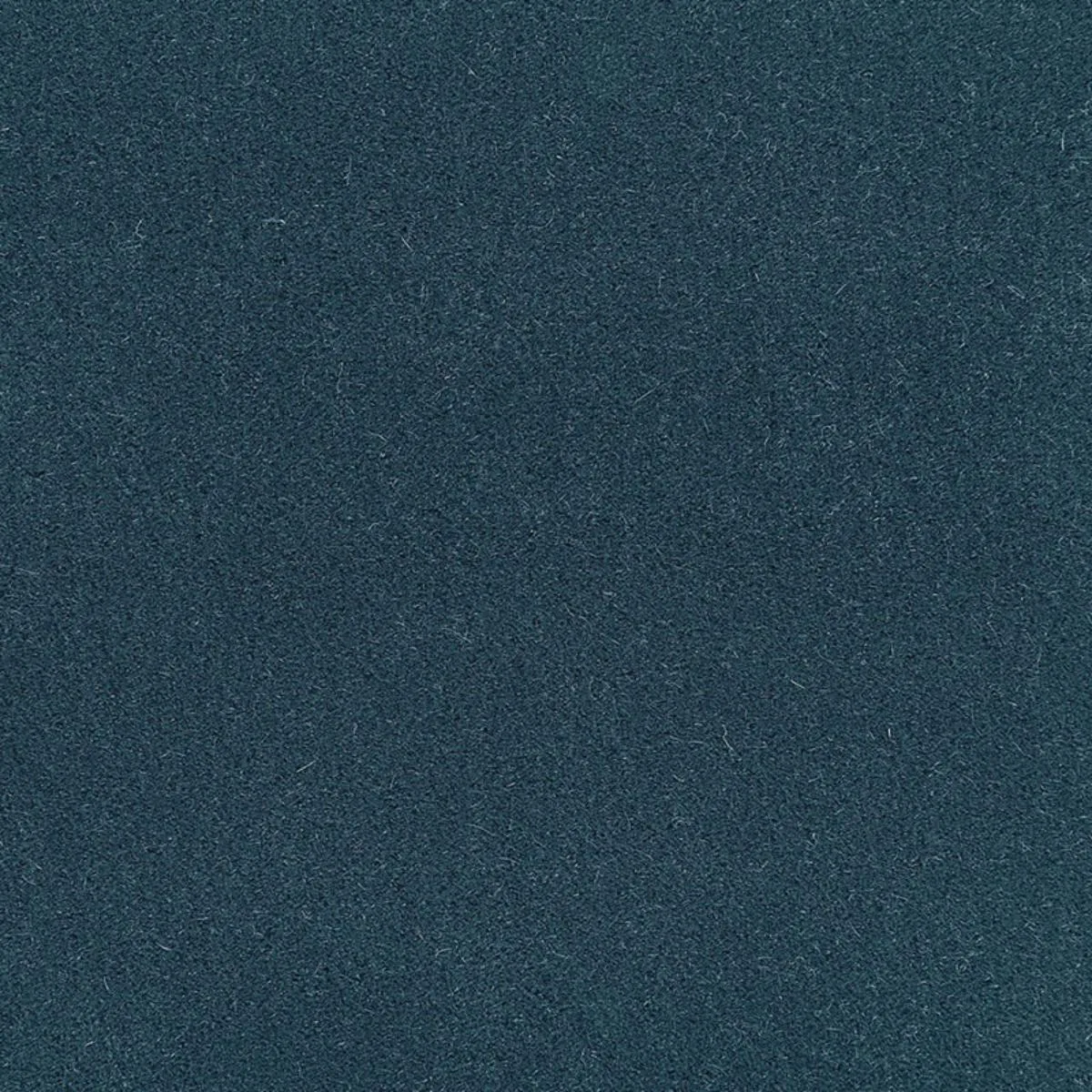 64877 San Carlo Mohair Velvet Myosotis Fabric