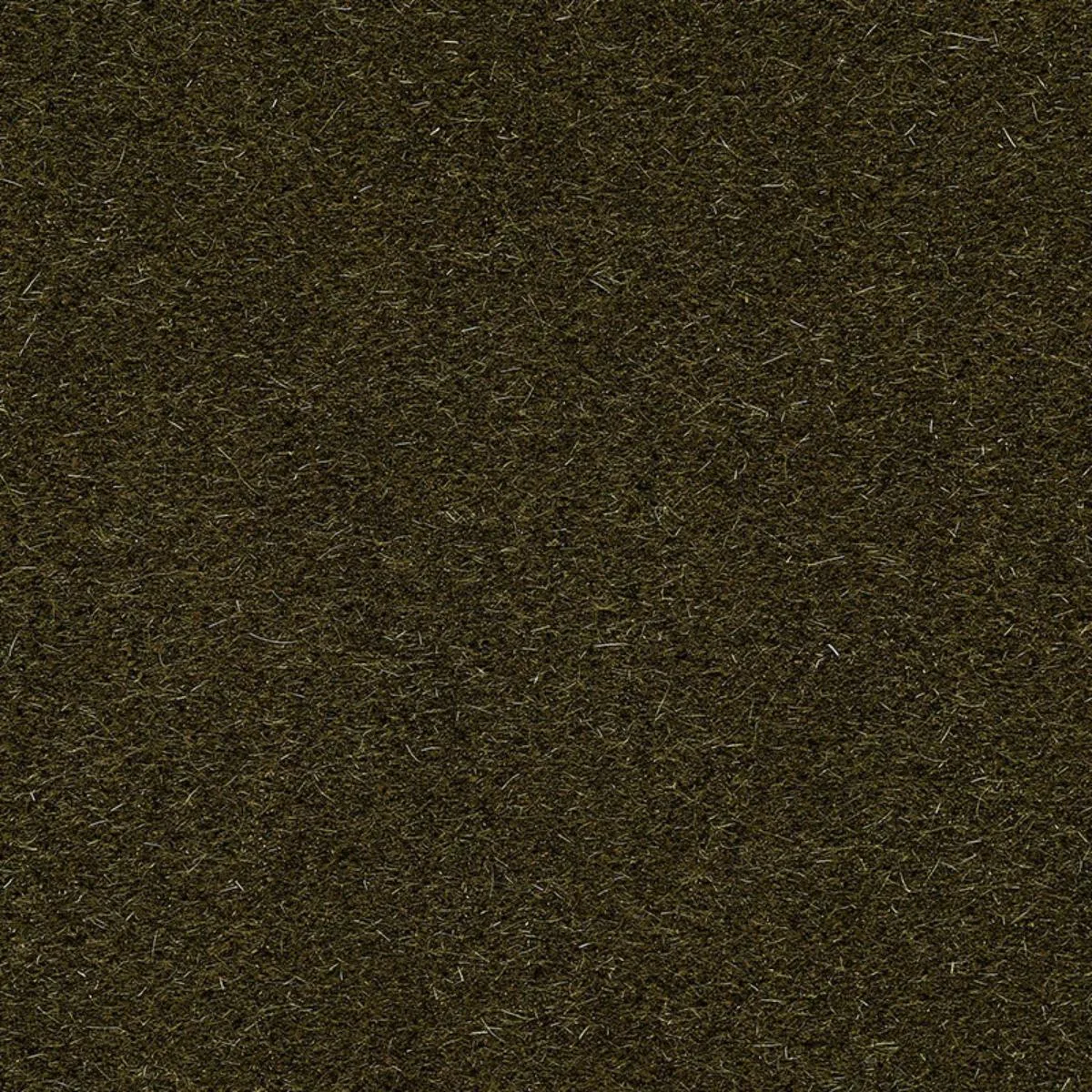 Schumacher 74500 San Carlo Mohair Velvet Olive fabric swatch