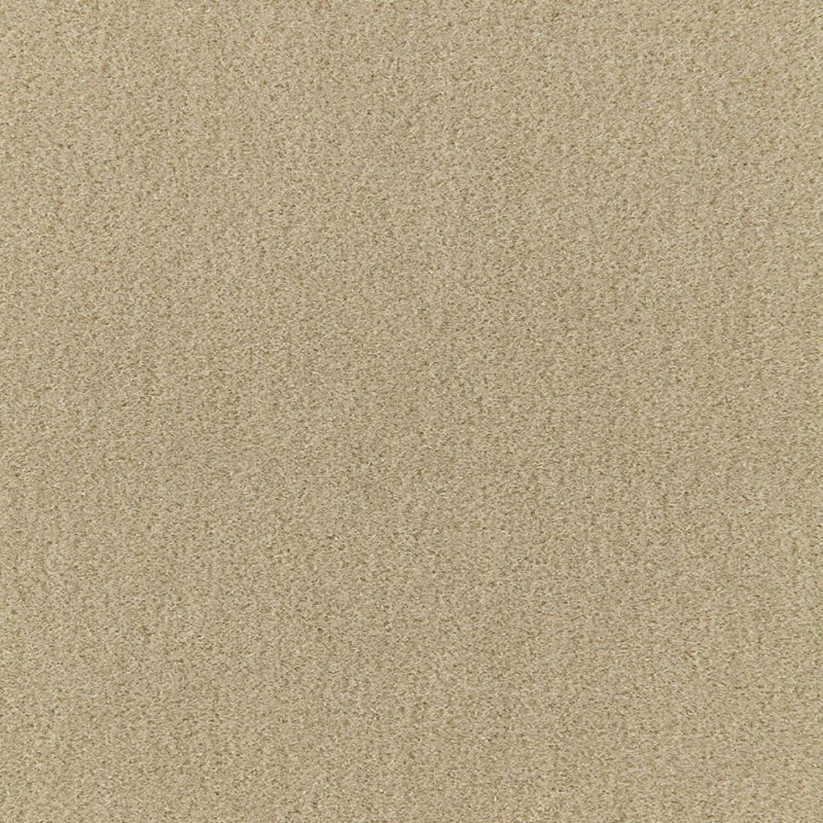 64871 San Carlo Mohair Velvet Pebble Fabric
