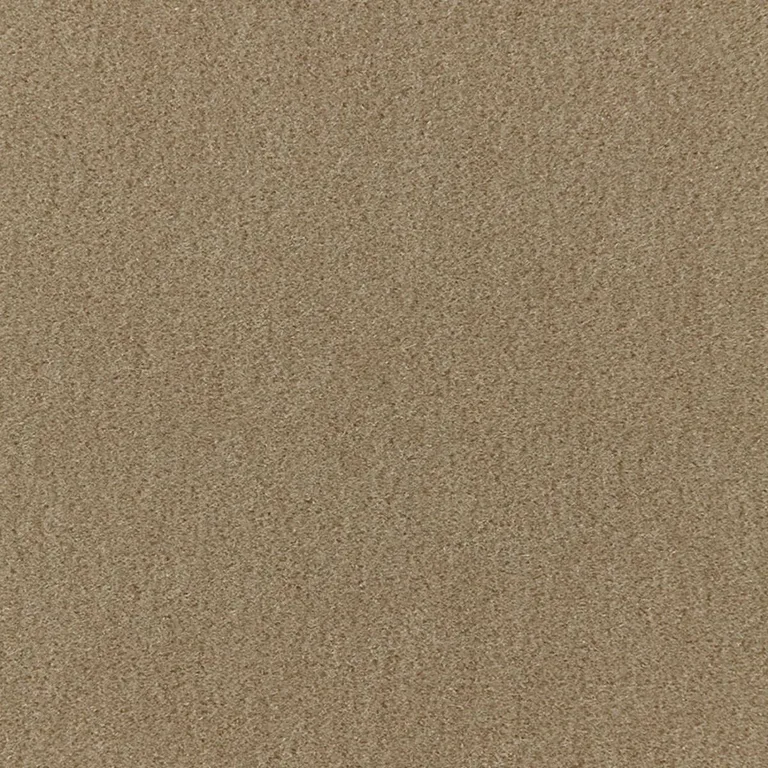 Schumacher 64887 San Carlo Mohair Velvet Sage fabric swatch