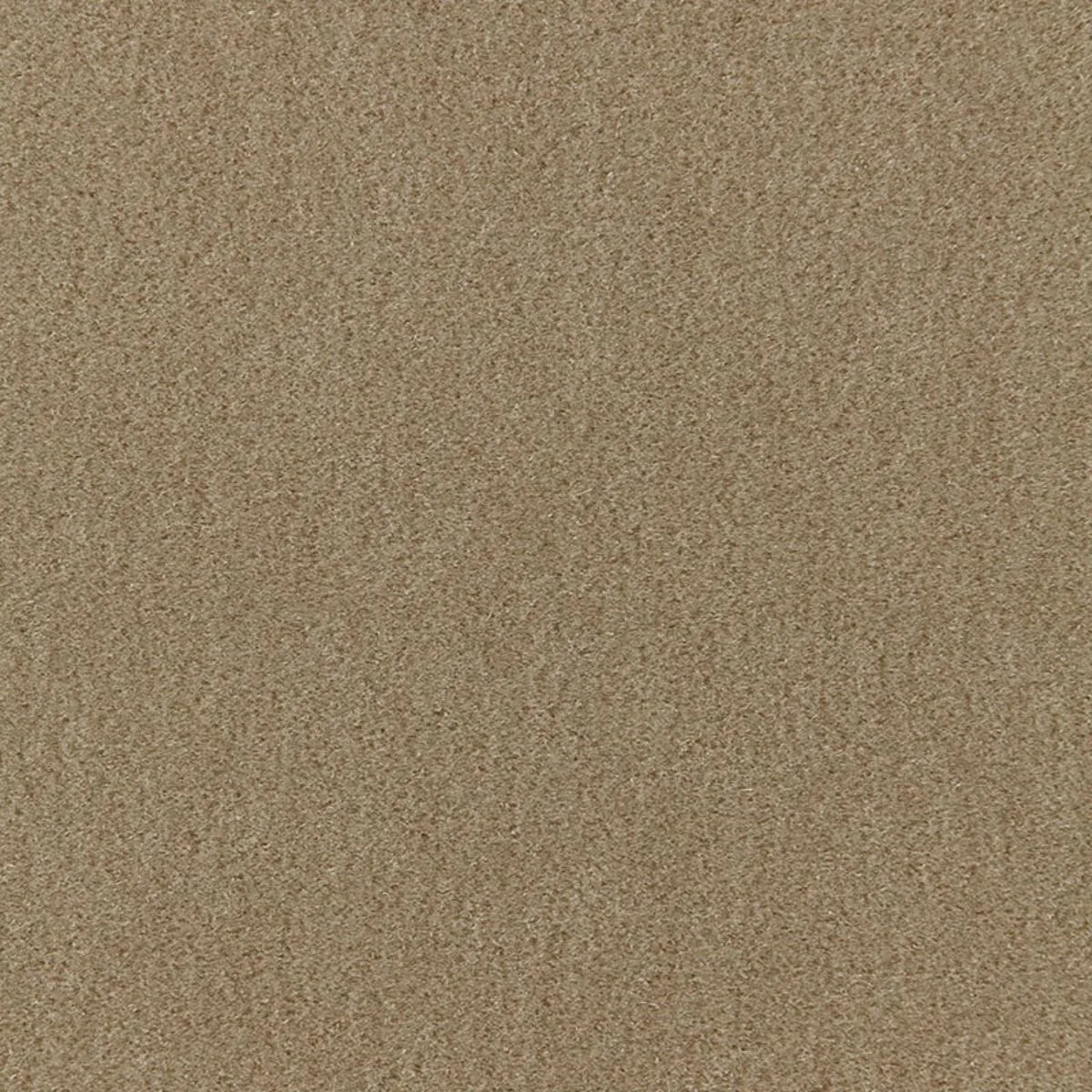 64887 San Carlo Mohair Velvet Sage Fabric