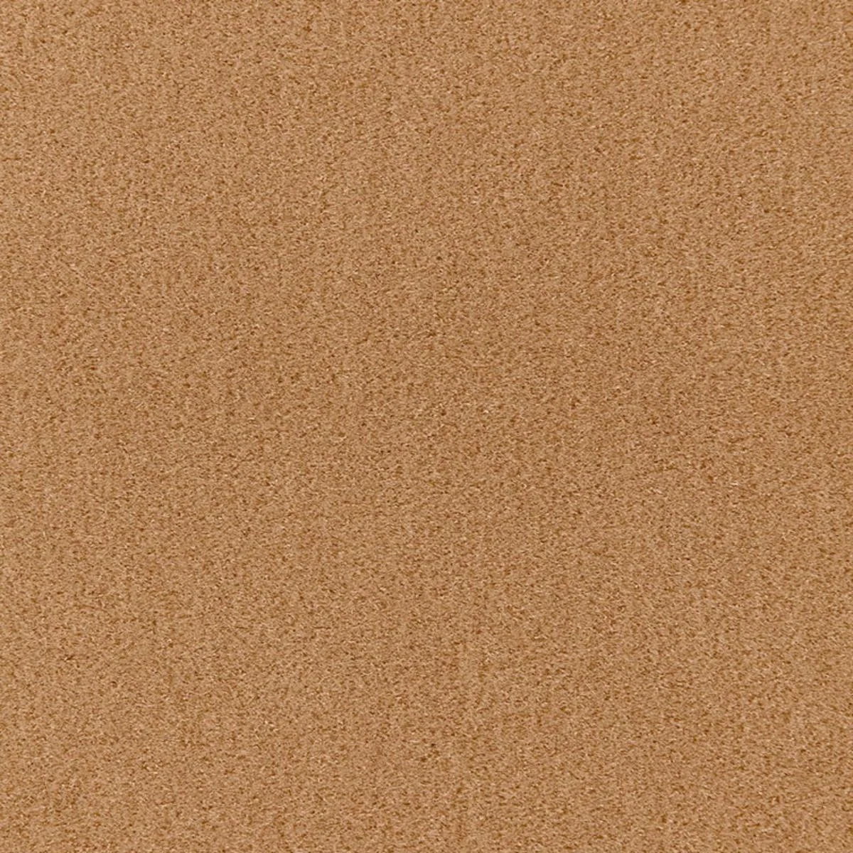 64850 San Carlo Mohair Velvet Sahara Fabric