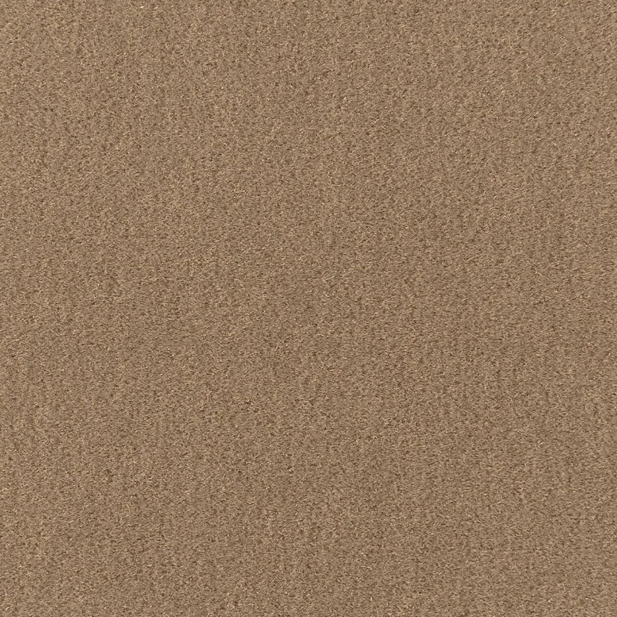 64885 San Carlo Mohair Velvet Sparrow Fabric