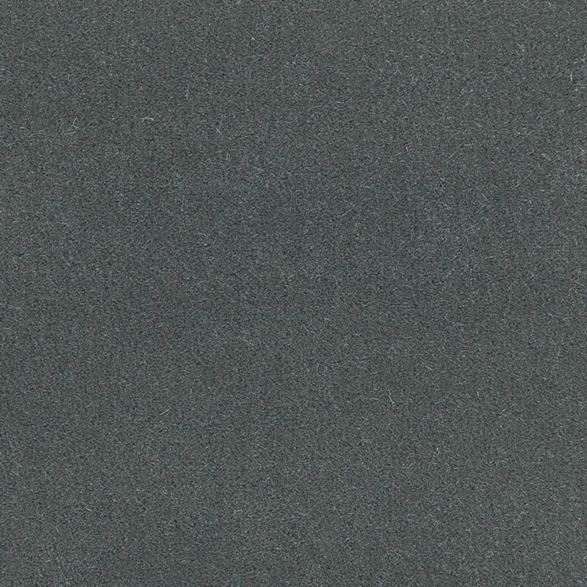 64881 San Carlo Mohair Velvet Steel Fabric