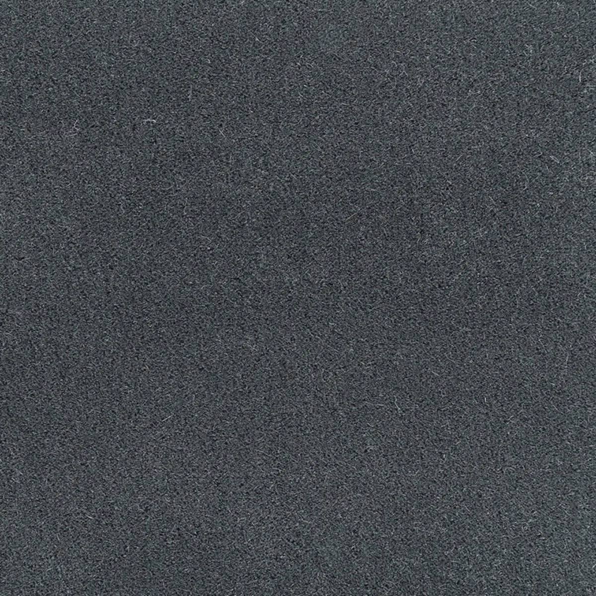 64880 San Carlo Mohair Velvet Storm Fabric
