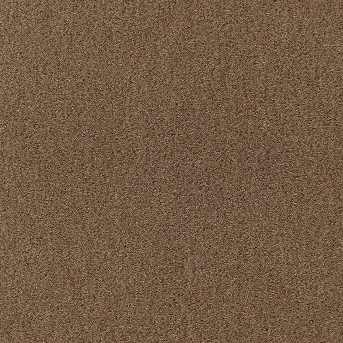 64888 San Carlo Mohair Velvet Tobacco Fabric