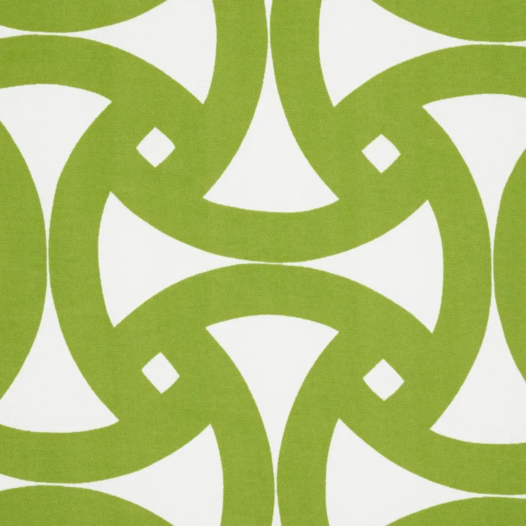 Schumacher 181081 Santorini Print Indoor/Outdoor Fern fabric swatch