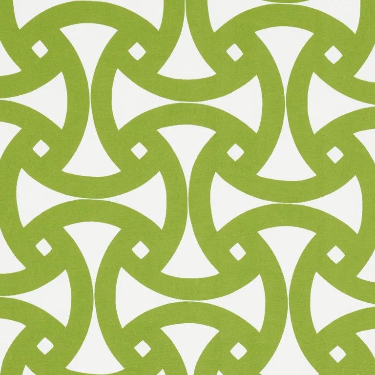 Schumacher 181081 Santorini Print Indoor/Outdoor Fern fabric swatch