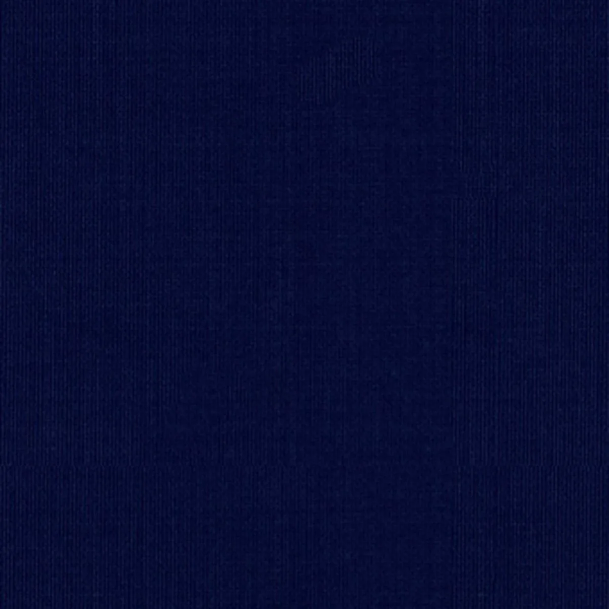 Schumacher 22644 Sargent Silk Taffeta Midnight fabric swatch