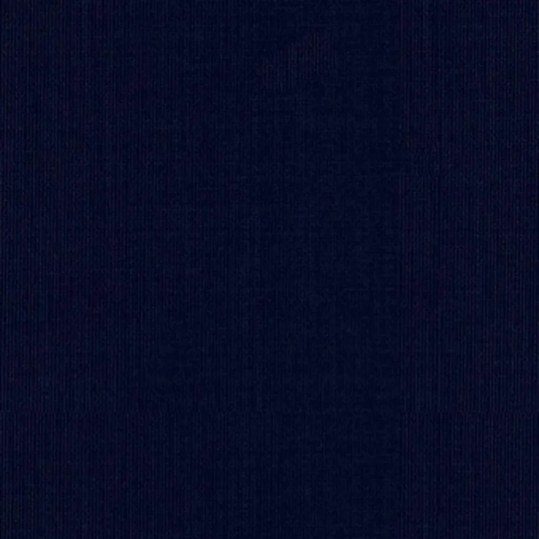 Schumacher 22643 Sargent Silk Taffeta Navy fabric swatch