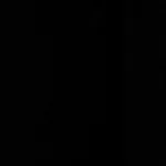 Schumacher 22689 Sargent Silk Taffeta Onyx fabric swatch