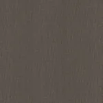 Schumacher 22675 Sargent Silk Taffeta Travertine fabric swatch
