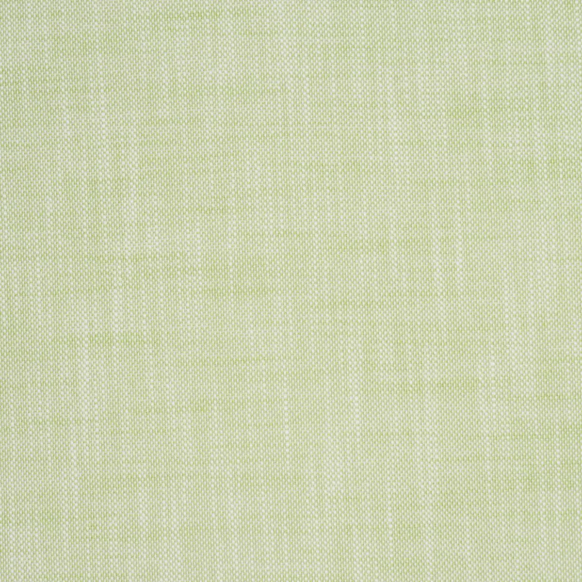 Schumacher 84232 Sasha Indoor/Outdoor Green fabric swatch