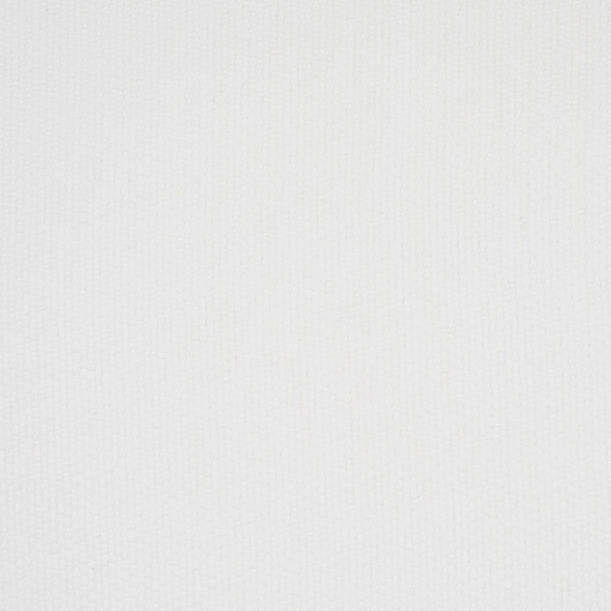 Schumacher 81061 Scottie Indoor/Outdoor White fabric swatch