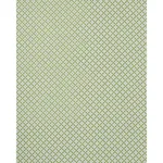 Schumacher 177961 Serendipity Green fabric swatch
